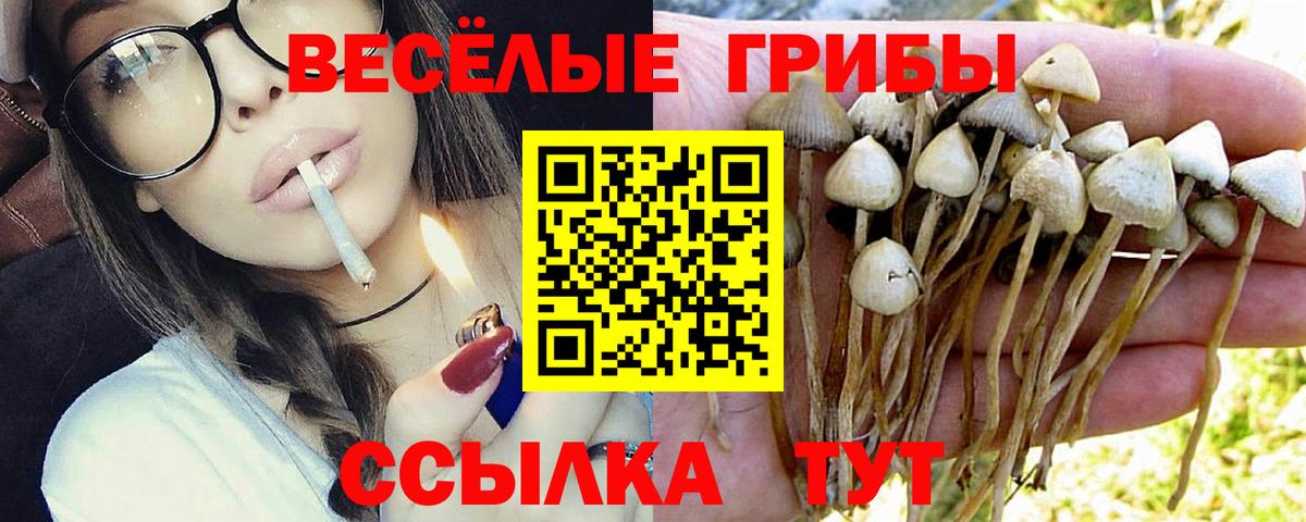 Псилоцибиновые грибы GOLDEN TEACHER  Вход с VPN  Галлюциногенные грибы Cubensis  Псков 